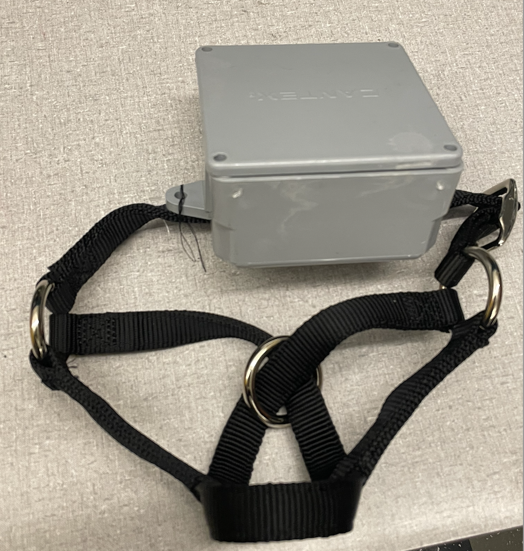 collar